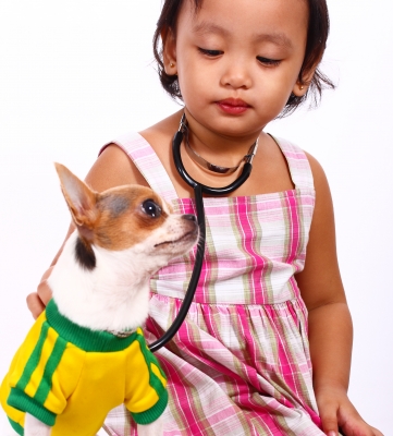 A little girl with a Stethoscope and a dog